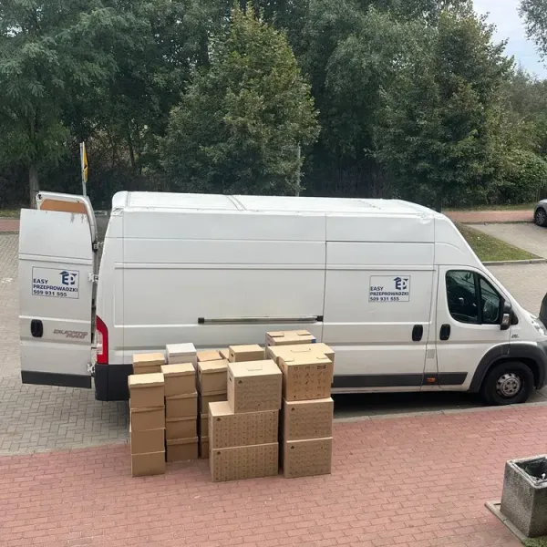 Moving process